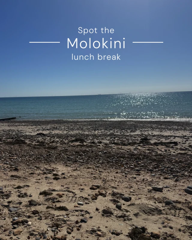 Lunch break. Sea dip. Reset. Not everyone at Molokini joins swim club, but everyone supports it.

Because whether it's a swim, a run, a walk, or something else entirely, taking time to recharge matters.

We've built a team of hardworking, enthusiastic marketers who bring energy, ambition and personality to what they do.

And if you happen to enjoy throwing yourself into the sea at lunchtime... even better.

#JoinOurTeam #AgencyCulture #SeaSwimmingLife